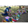Alleged Christchurch terror attacker's manifesto banned (NZ)