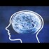 Transhumanist Agenda Revealed: Hive Mind? 5G, Smart Grid, and the Coming Global Brain (Audio) The Future of Media and Agenda 2030 | Stillness in the Storm