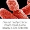 Gee, it must be a coincidence that a Colorado Meatpacking plant sued by Muslim employees over a prayer break dispute, suddenly has to recall 66.3 tons of ground beef.
