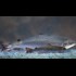 Genetically modified salmon approved for consumption in Canada