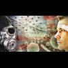 US Army Has Admitted To Conducting 100s Of Germ Warfare Tests On Americans