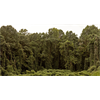 'Global Greening' Sounds Good. In the Long Run, It's Terrible. [And the fight to keep Big Military Industrial Isral-oil Complex(tm) alive!]