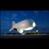 Meet the Blimp hovering over DC, no way to shoot off a gun (kill Seth Rich) without being detected by it