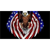 Actual AMERICAN Patriot Speaks out to Law Enforcement !! (RichieFromBoston)
