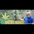 Richard Grove interviews Rick Simpson about cancer cures and big oil