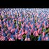 Independence Day: The Celebration of Rights We No Longer Have?