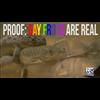 Gay Frogs Are Real: Alex Jones Was Right