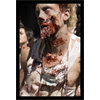 In 2012, the writer of this article asked if we were seeing the beginning of a world-wide cannibal plague?