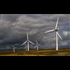 Wind farms 'will never keep the lights on': Study claims turbines are 'expensive and deeply inefficient'. 'The green energy revolution has been an expensive folly'.