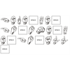 Q forgot the W..is that a mistake or is W...as in george w. out? or dont you trust Q