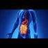 Business Health Lifestyle Legal Activism Science Reviews Smoking Marijuana Causes Complete Remission of Crohns Disease, No Side Effects, New Study Shows ACC Magazine