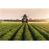 'Don't Ask, Don't Tell' - Why the 'Probable Carcinogen' Glyphosate is Sprayed on Your Food Crops Right Before Harvest