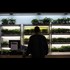 U.S. judge won't remove marijuana from most-dangerous drug list - While the government owns the patent on some of it's medical uses