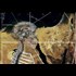 Down The Rabbit Hole - Ancient Egypt & The Path Of The Soul