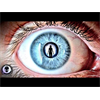 The REAL CIA Psychic Spies Exposed