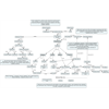 Jewish Conspiracy Flowchart for New Goats