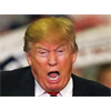Blockbuster: The Secret Cohen Investigation, Why the Public Only Got