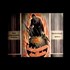 The Truth of Democracy - Dr William Pierce