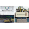 Bayer-Monsanto Merger: Endangering Our Health, Food, Farms & Planet