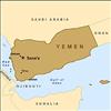 Trumps Gross Hypocrisy on Yemen War