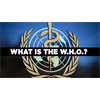 What is the WHO? - Questions For Corbett (The Corbett Report)