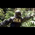 DEA Agents Had Sex Parties with Prostitutes Funded by Drug Cartel Money