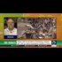 The Debate - US-Saudi Ties (5.9.2015)