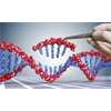 Bats, Gene Editing and Bioweapons: Recent Darpa Experiments Raise Concerns Amid Coronavirus Outbreak