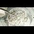 Zika virus spreading in Europe as 1st person tests positive in Denmark