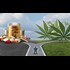 Was Big Pharma Behind Colorado's Rejection of Medical Marijuana for PTSD?