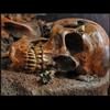 Ever wonder why all those Indian Burial places are sacred?