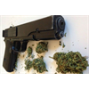 If You Smoke Cannabis, You Cannot Buy Guns