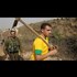 Israel confiscating Palestinians' livestock