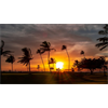 Maui Wowie! No 5G Drone Over Hawaii!!!