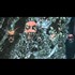 CERN will tear down the veil and the spider will return to its web ?