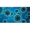 CoronaVirus Fact-Check #3: