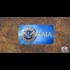 HR 2899 introduced by Rep McCaul on June 25, 2015 would expand counter-propaganda efforts targeted at those the government would label as potential violent extremists.