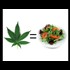 Evidence That Cannabis Contains Unique Dietary Essential Nutrients
