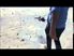 Palestinian children killed at the beach [GRAPHIC]