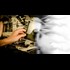 Scientists Now Claim They Can Erase Memories and Implant Fake Ones (Truthstream Media)