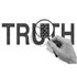 Truth is a Crime Against The State