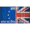 Brexit - What We Should Have Done - David Icke