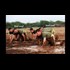 Mark Passio - A Message to the Military