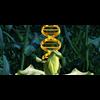 HUMANITY HAS BECOME ONE MASSIVE GENETIC EXPERIMENT: WHAT EVERYONE SHOULD KNOW ABOUT GMOS