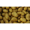 GMO potato creator says he's concerned that his work may be negatively impacting human health