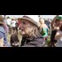 Amy Goodman to Turn Herself In, Will Fight 'Clear Violation' of Press Freedom
