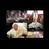 The Zionist Take-Over of the Catholic Church