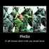 The media lens