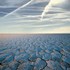 Engineered Drought Devastation Is Wreaking Havoc On Four Continents