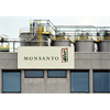Glyphosate Worse Than We Could Imagine